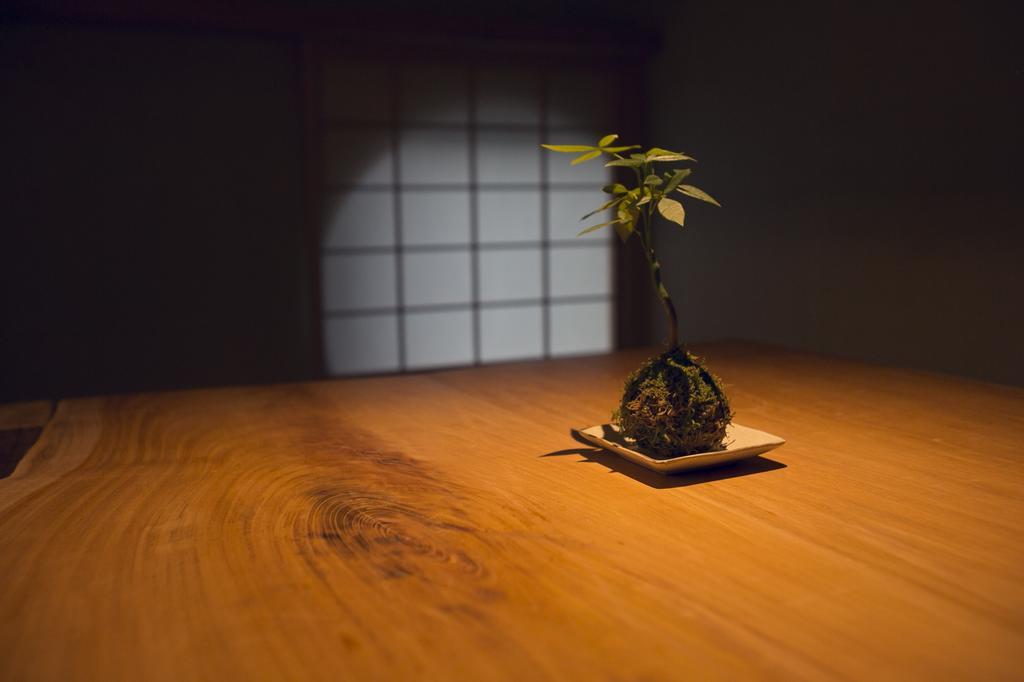 Ryokan Mokuzin Hakuba Extérieur photo